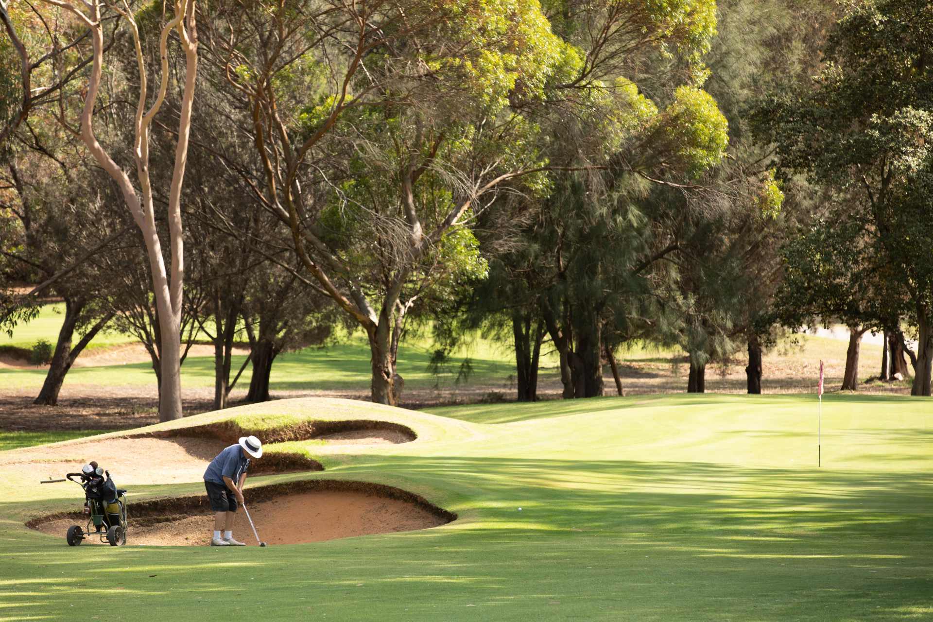 [Land for Sale] Newbridge Estate, Murray Bridge OpenLot